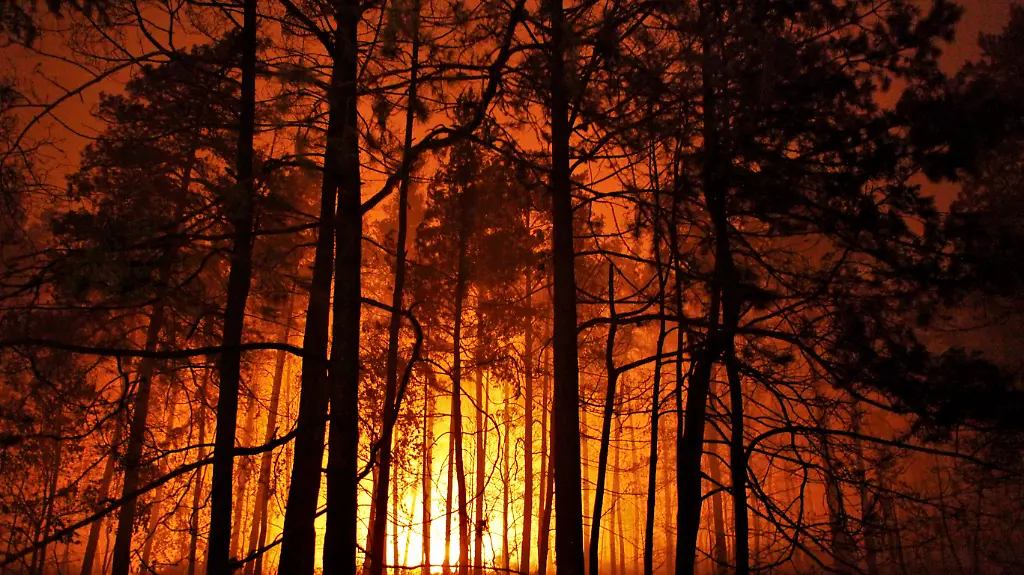 Waldbrand
