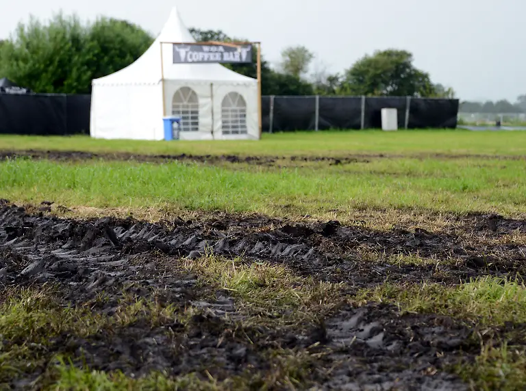 367t5430-jpg1700791323648617074