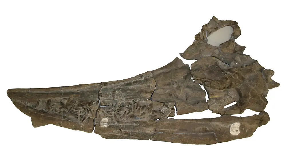 368h3709-jpg7034337554125221015