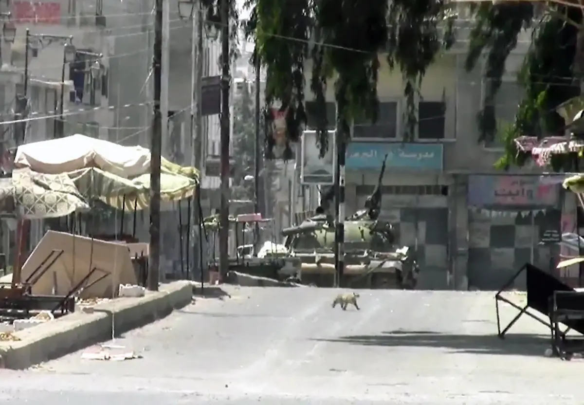 DAB4101-20120729-jpg1488763906464964399