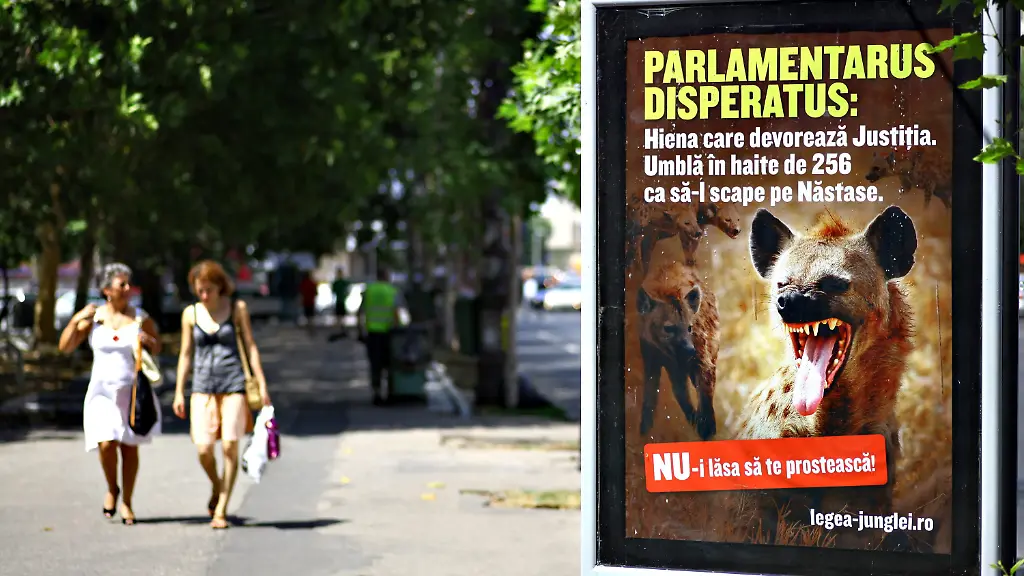 365q4622-jpg5356690928269595034