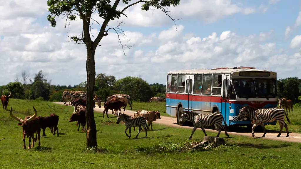 36450456-jpg6754904124392373419