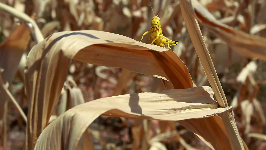 DAB0152-20120720-jpg808825926432725681