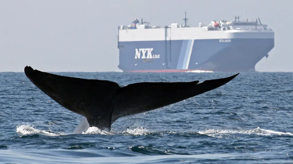 DAB1730-20120714-jpg7198802221932660653