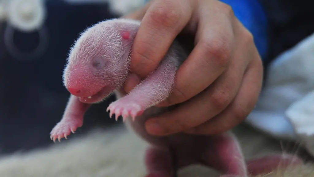 2012-07-12T090747Z-01-PEK04-RTRMDNP-3-CHINA-JPG3265601607111803054