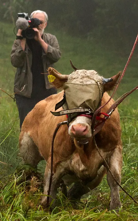 DI10154-20120709-jpg9144606177032128433