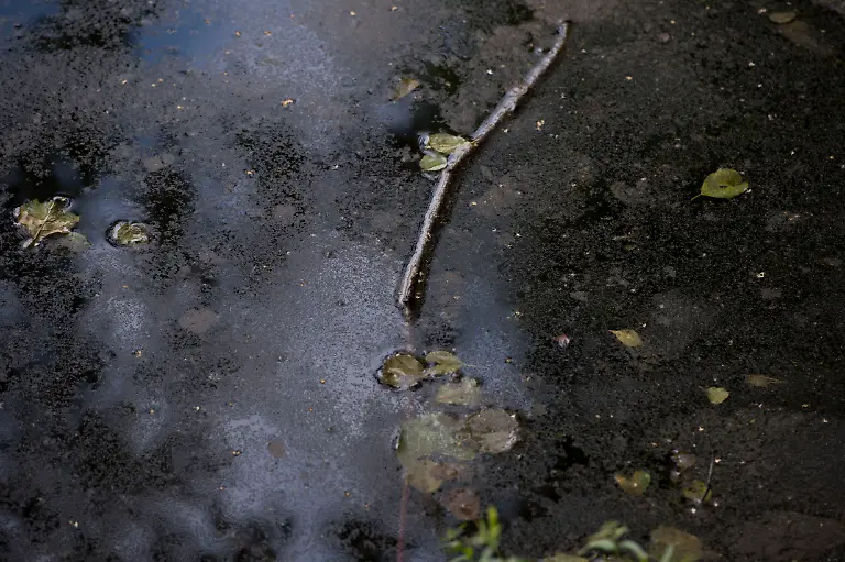 DI30212-20120708-jpg1737489709338674139