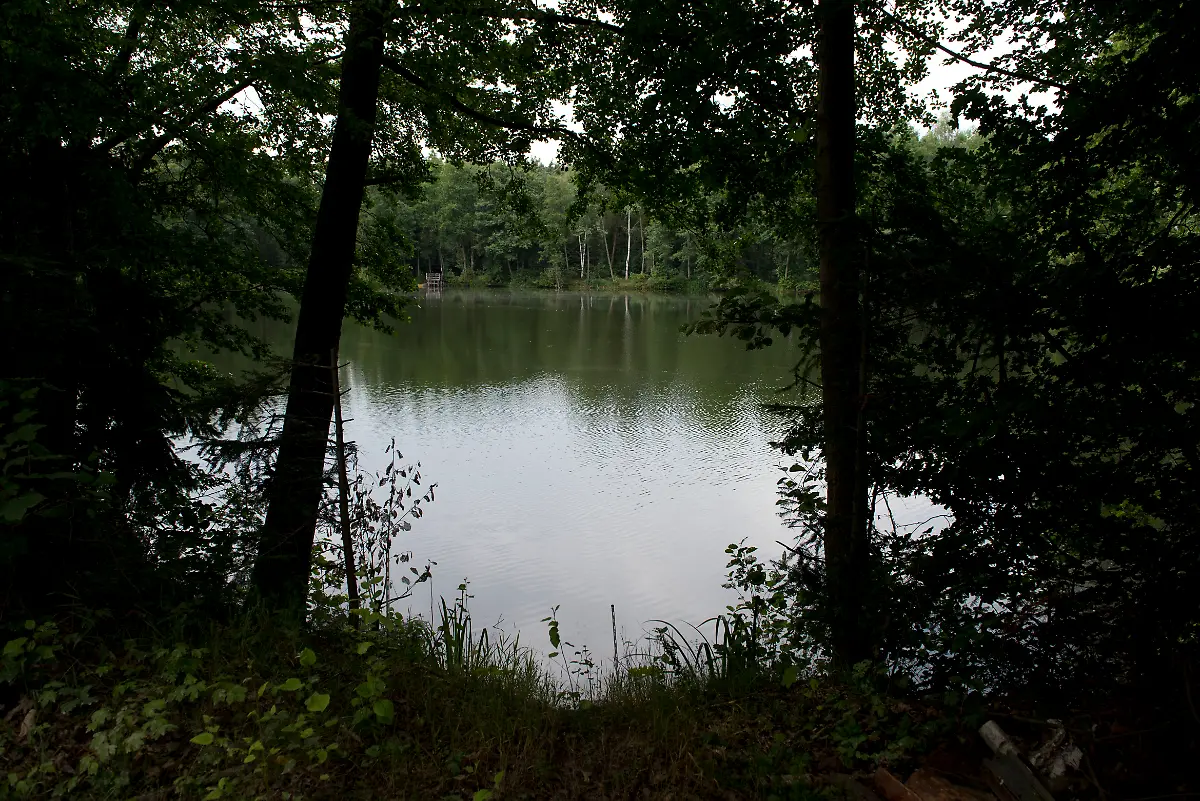 DI30211-20120708-jpg6081073857772979933