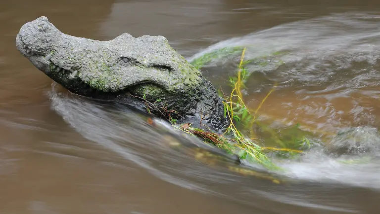 35ph0516-jpg6578075268696971505