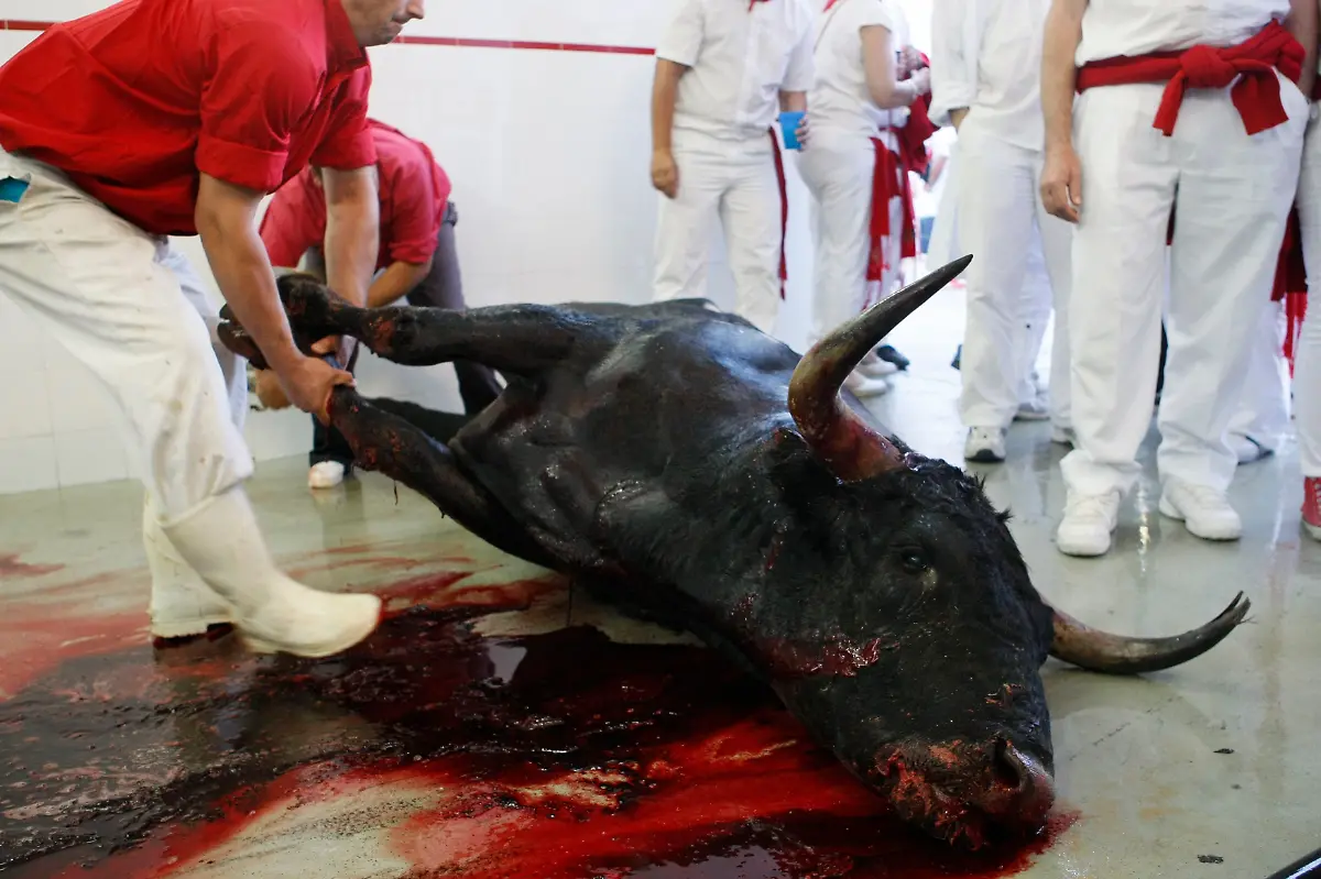 2012-07-08T204924Z-01-EAG509-RTRMDNP-3-SPAIN-JPG6389295457818747756