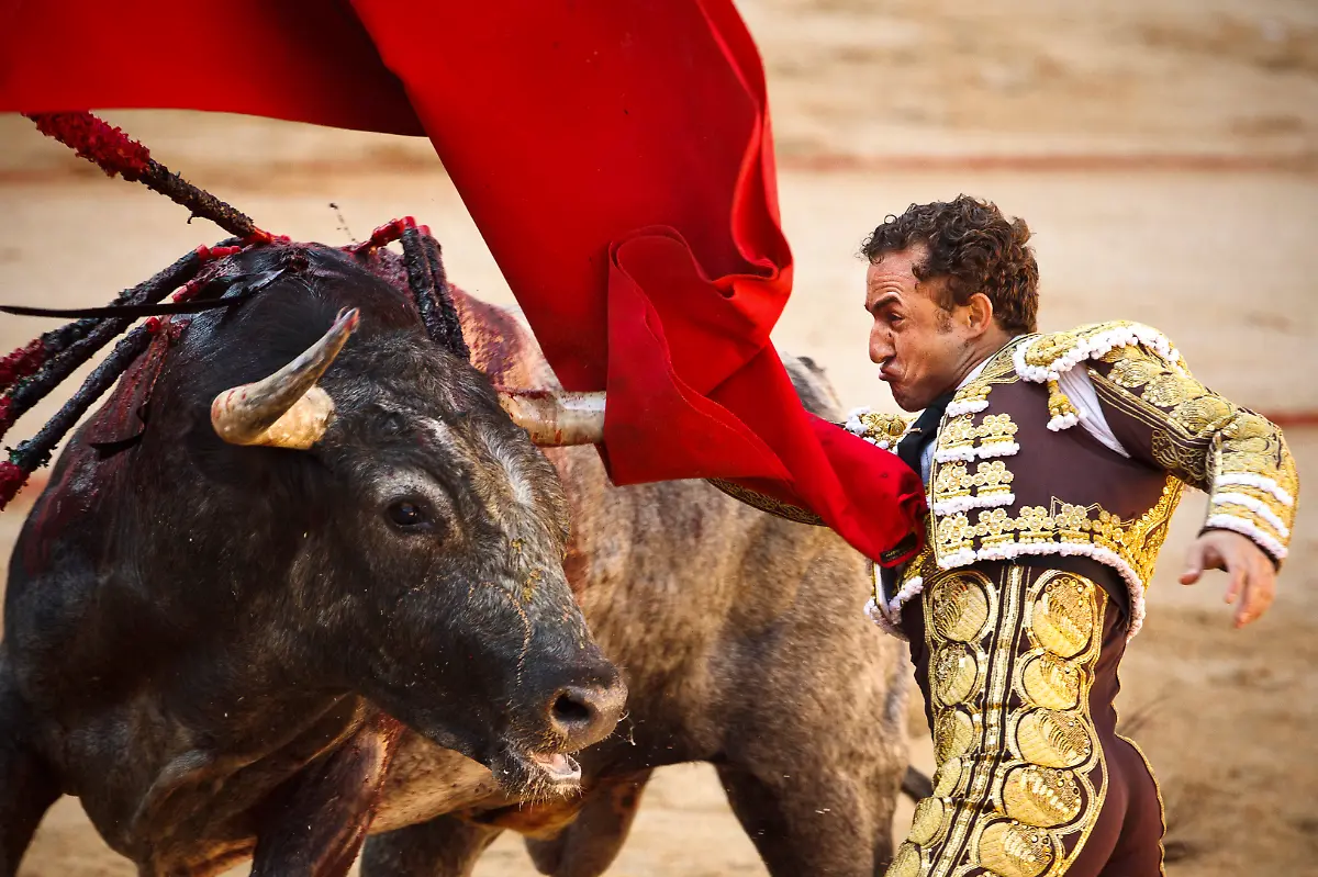 DAB3131-20120708-jpg3314049023752063644