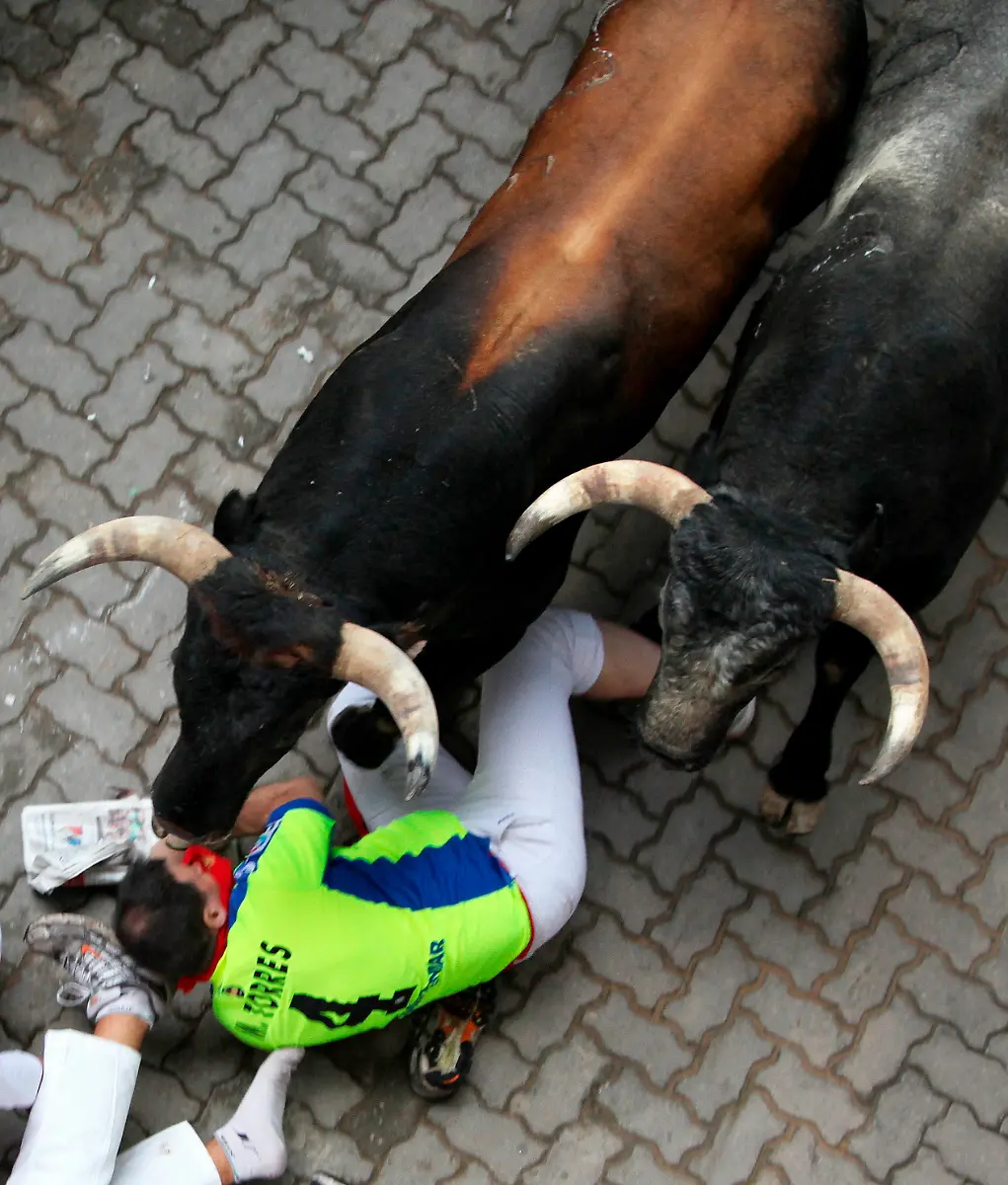 35sy0739-jpg1485495775324642962