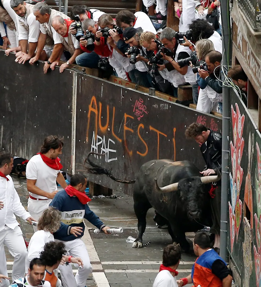 35sy0538-jpg6955637934638828319