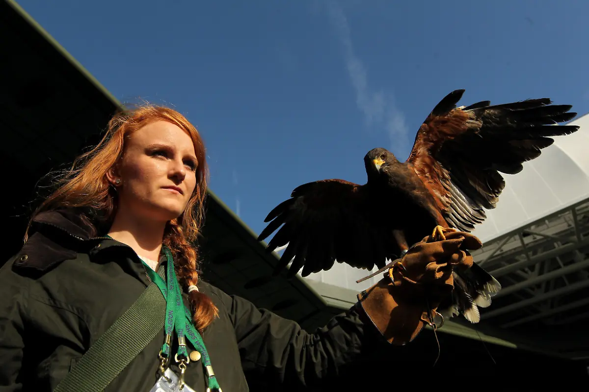 DAB1877-20120630-jpg2175742555066096369