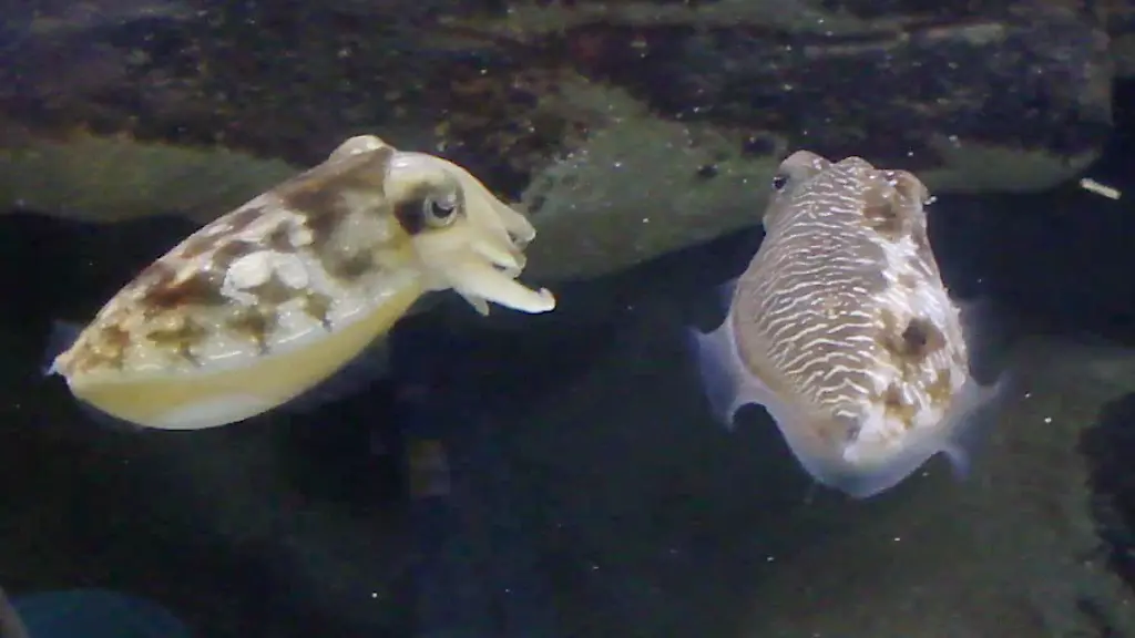 35po5744-jpg5891697042609254297