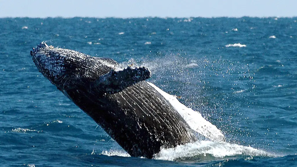 35md0924-jpg7581510029365032031