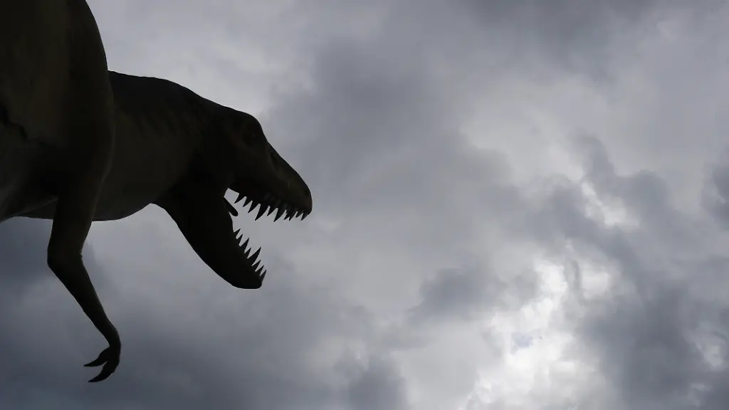 DI30271-20120625-jpg1972656512449907018