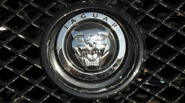 Jaguar wagt den Sprung ins Gelände.
