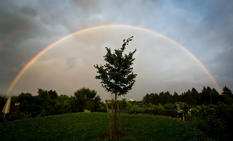 35k50633-jpg8311254748029985178