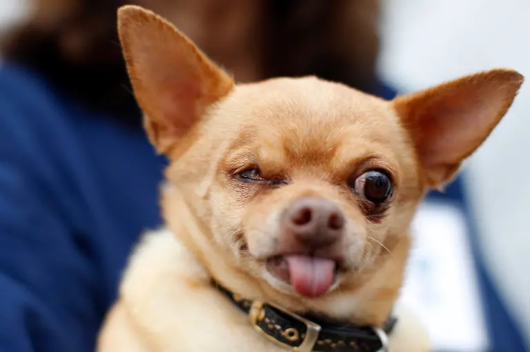 2012-06-23T033604Z-01-SFO02-RTRMDNP-3-USA-JPG8718588338651569261