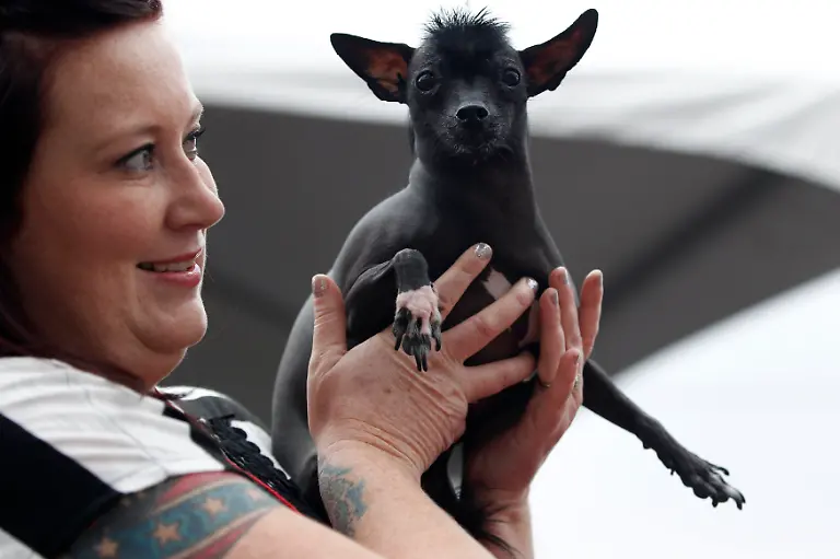 2012-06-23T043246Z-01-SFO14-RTRMDNP-3-USA-JPG4768867393430385993