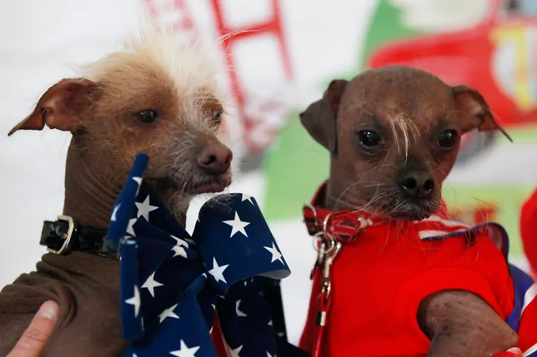 2012-06-18T192304Z-01-SFO05-RTRMDNP-3-USA-JPG2598000049243995886