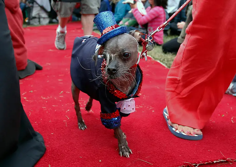 35i60459-jpg7126788171797656049