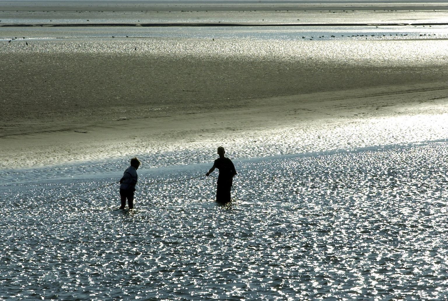 Das Wattenmeer ist eine  Landschaft der ständigen Veränderung. 