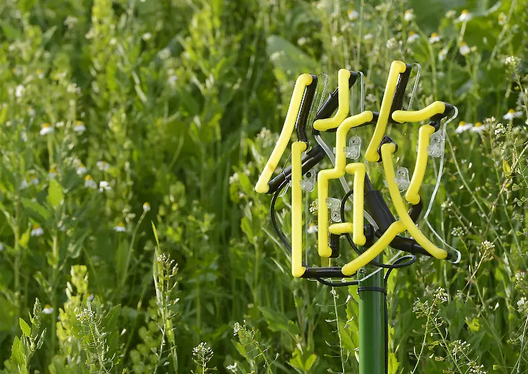 DAB3845-20120606-jpg4219617056744460152