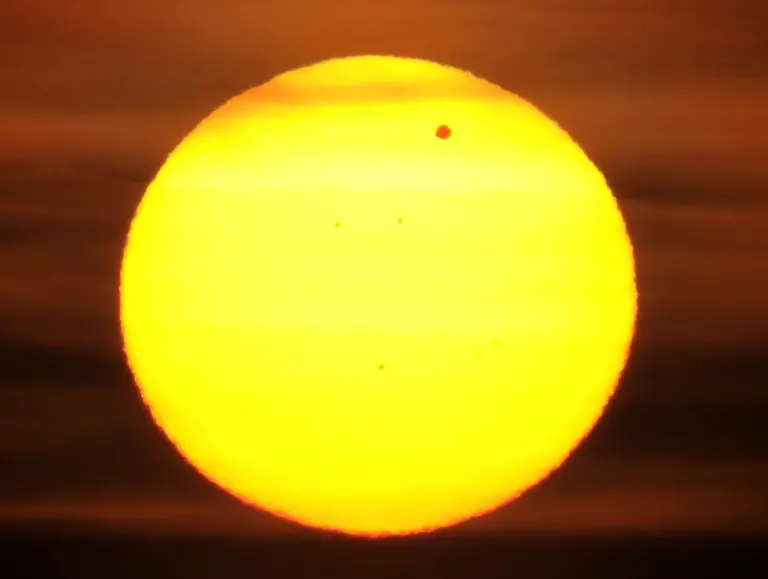 356x0748-jpg7702168251813446725