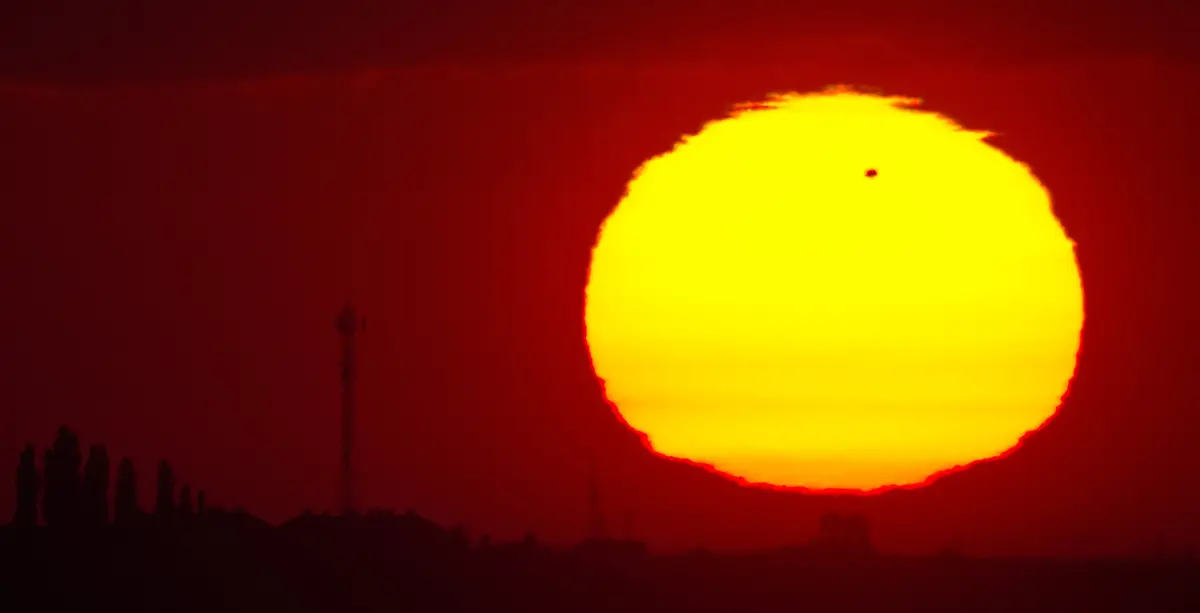 356x0747-jpg5421705639271657114