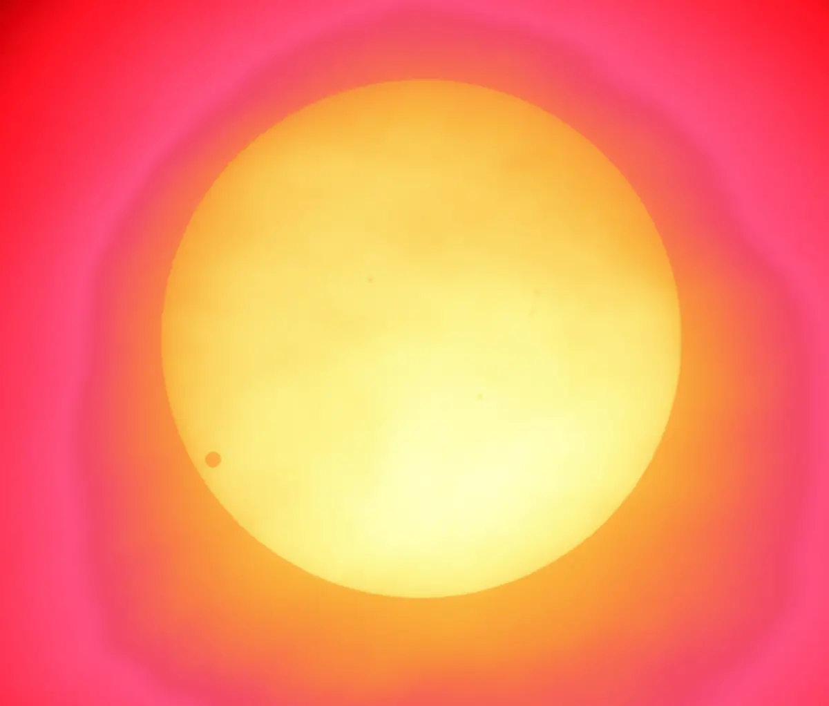 356w5541-jpg1550955561902816620