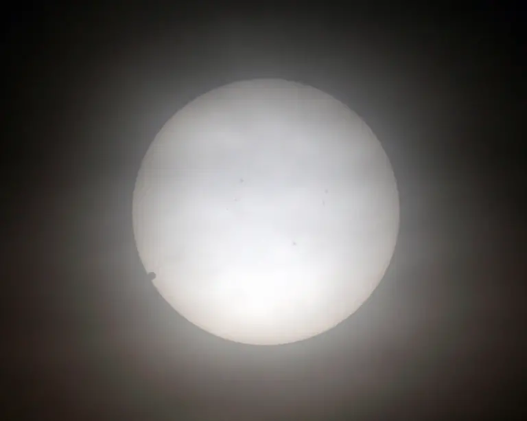 356w5543-jpg7568057746478972096