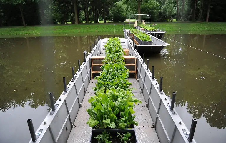 355o1447-jpg6788945721001686309