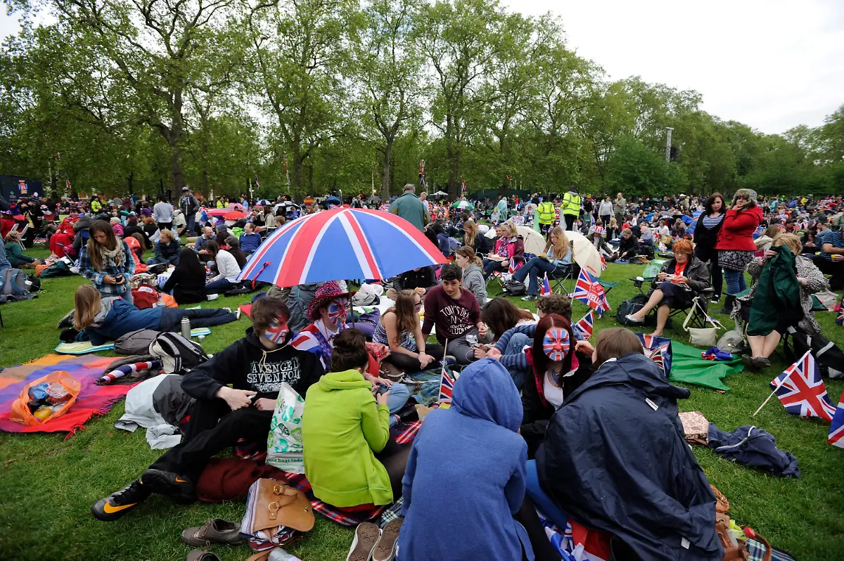 355t5753-jpg4362522921562478983