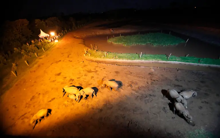 2012-06-04T210612Z-01-AFR09-RTRMDNP-3-BRITAIN-QUEEN-KENYA-JPG2285460857239363349