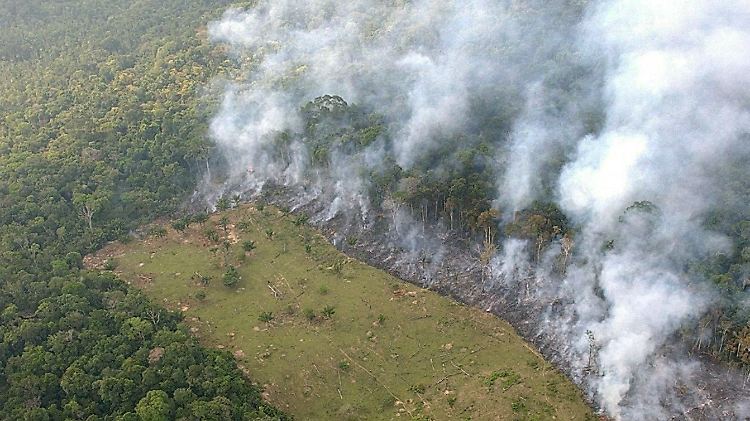Brandrodung im Amazonas Regenwald.