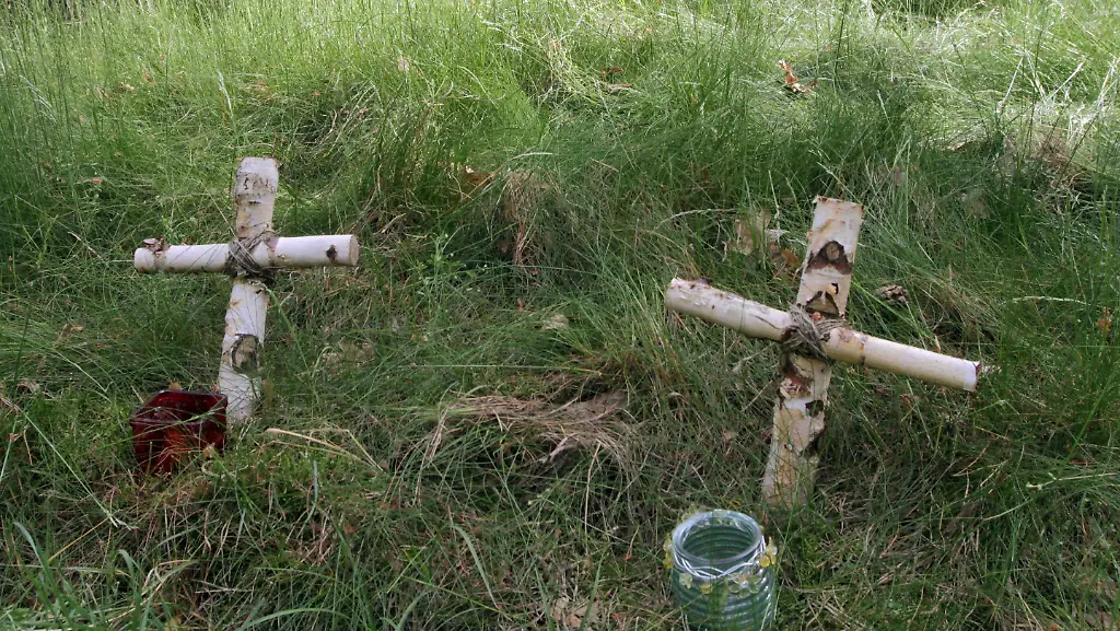 352t0045-jpg7959104284352460074