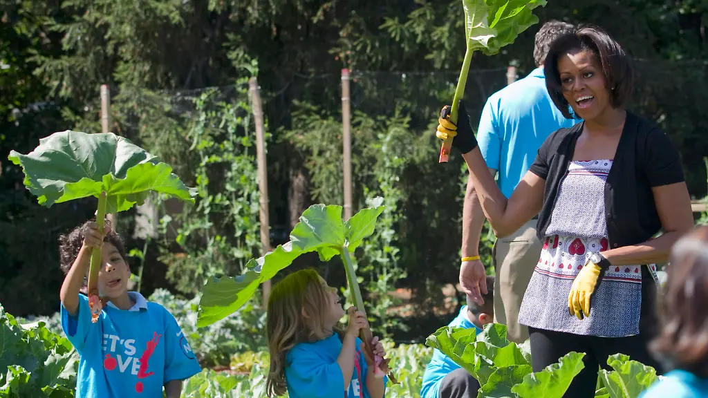 DAB0032-20120529-jpg5710739268633681480