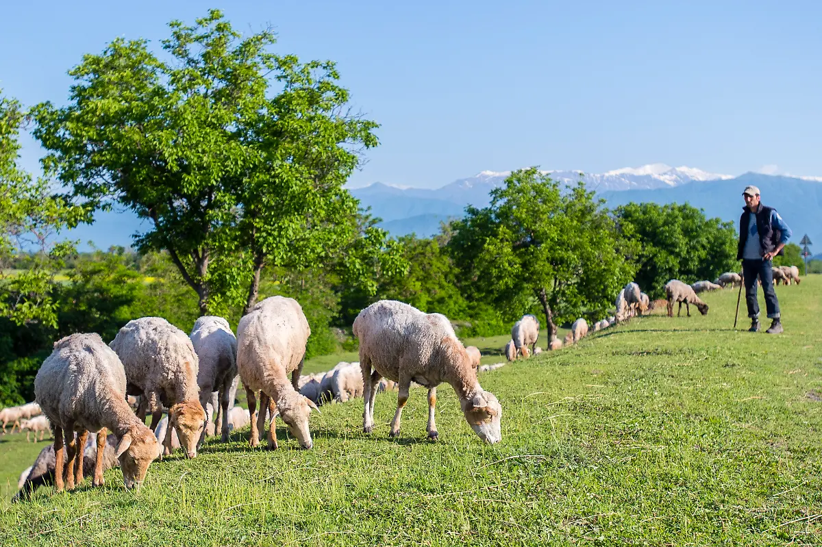 DI30194-20120520-jpg6371217873468136004