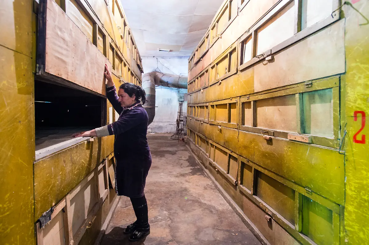 DI30195-20120520-jpg780177565179658422