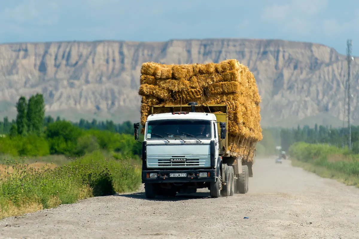 DI30200-20120520-jpg8804136650649785584