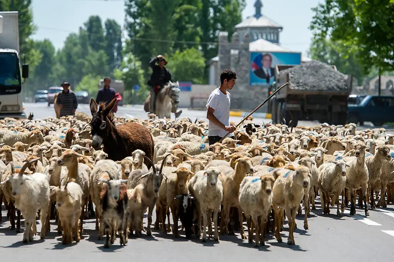 DI30217-20120520-jpg6485108771643103982