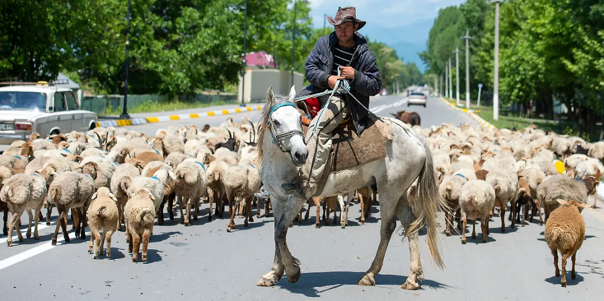 DI30210-20120520-jpg3279175288209138826