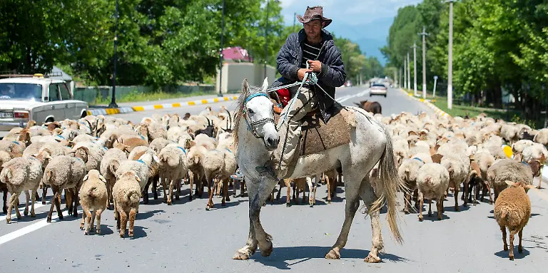 DI30210-20120520-jpg3279175288209138826