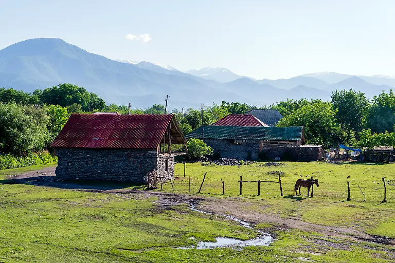 DI30218-20120520-jpg8371565303588468138