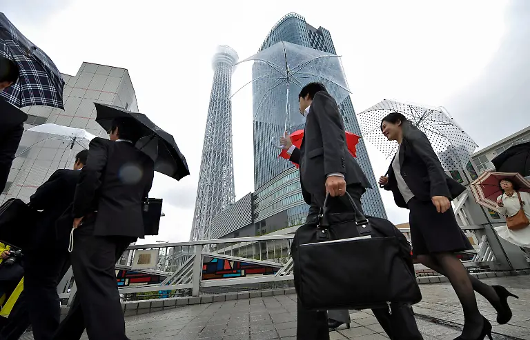 34wt2336-jpg1552554984491504581