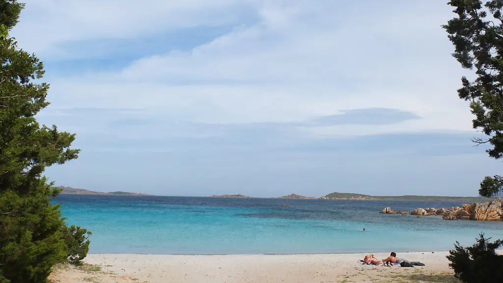 34sf0103-jpg1858399159246578178