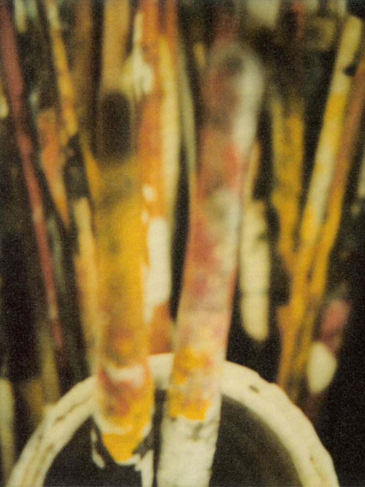 "Brushes", Cy Twombly, Lexington, 2005