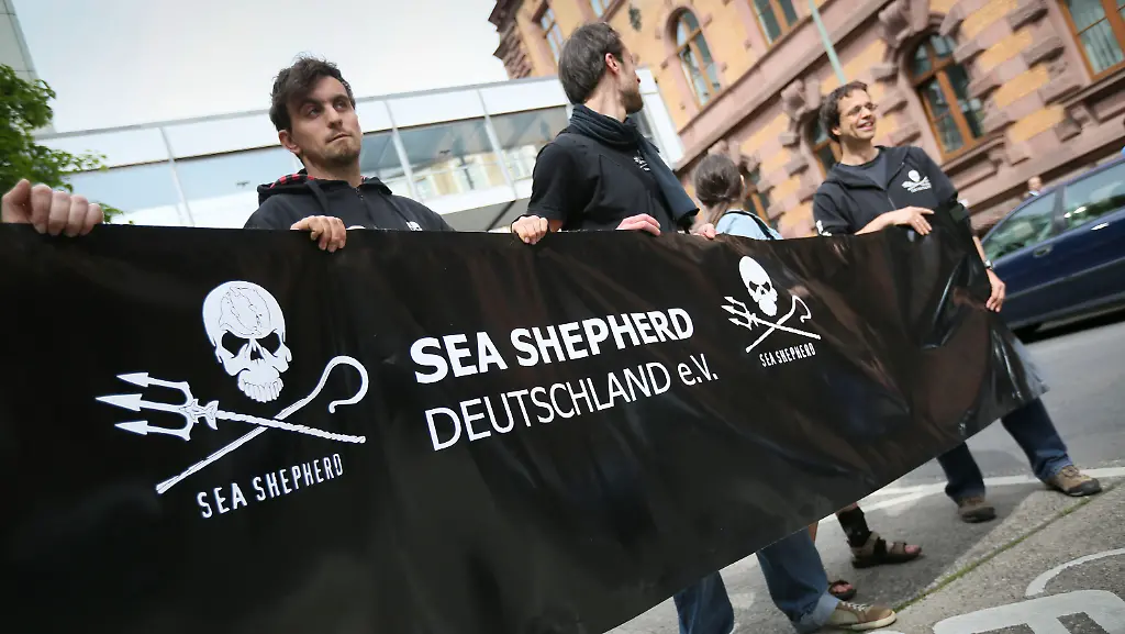 34rs2321-jpg8943015090816258932